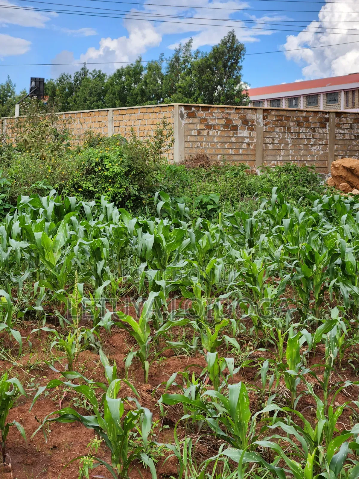 Beautiful 2 Acres Ngong-Kibiko(Chavara)