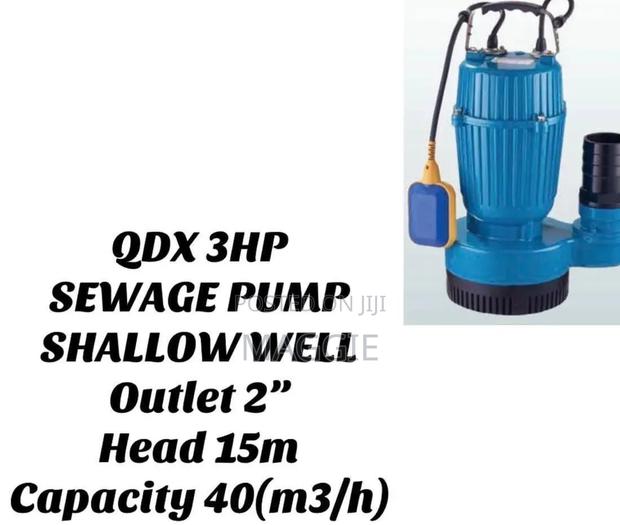 Sewage Pump Shallow Well - main view