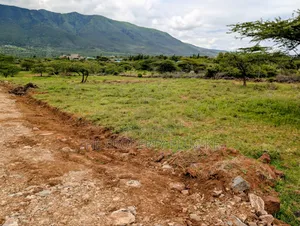 Kimuka 50 by 100 Plots for Sale in Ngong
