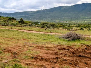 Kimuka 50 by 100 Plots for Sale in Ngong
