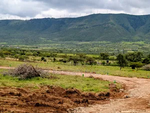 Kimuka 50 by 100 Plots for Sale in Ngong