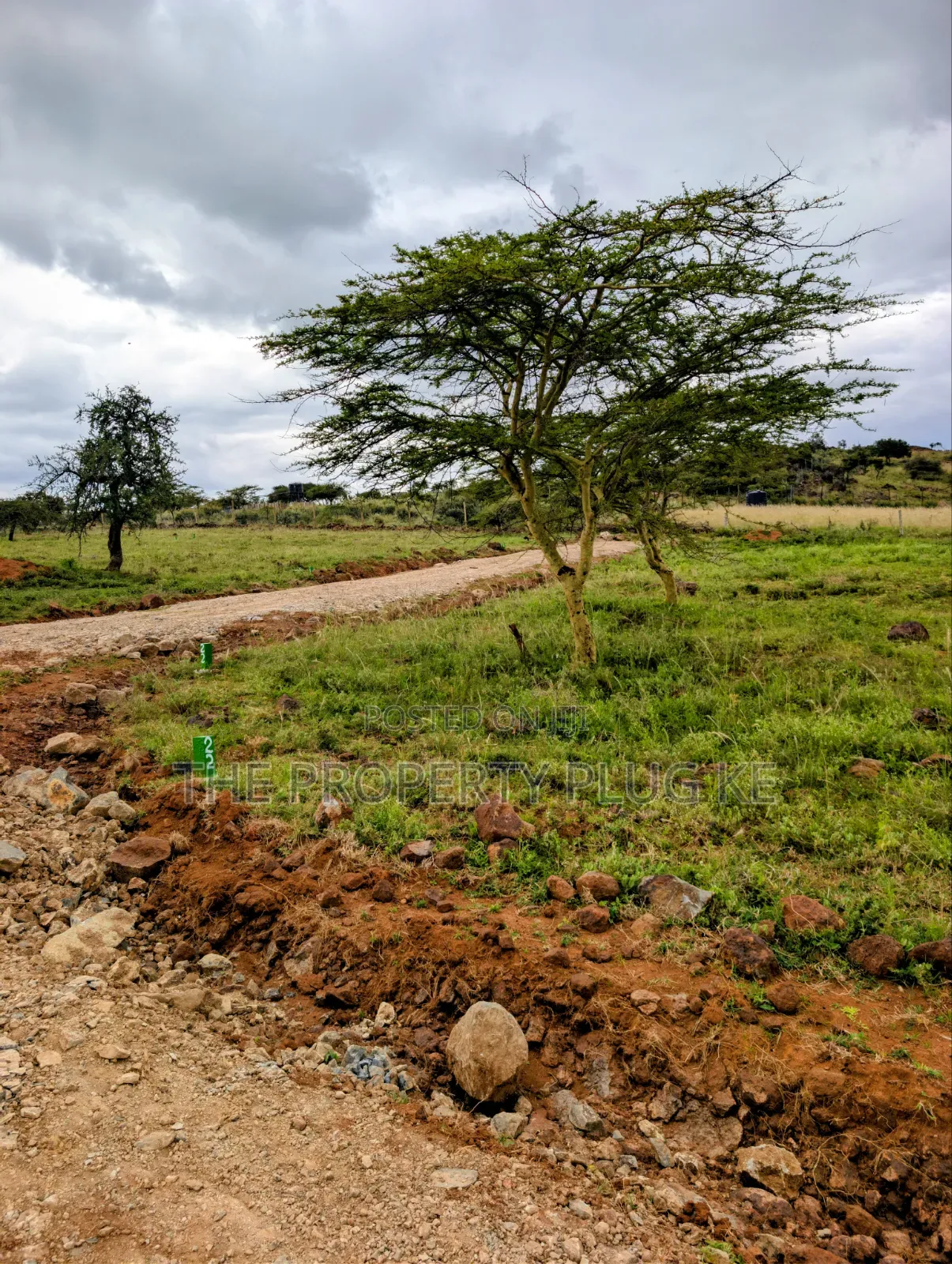 Kimuka 50 by 100 Plots for Sale in Ngong
