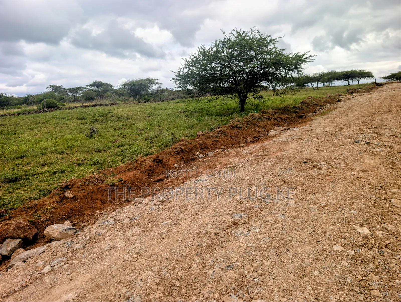 Kimuka 50 by 100 Plots for Sale in Ngong