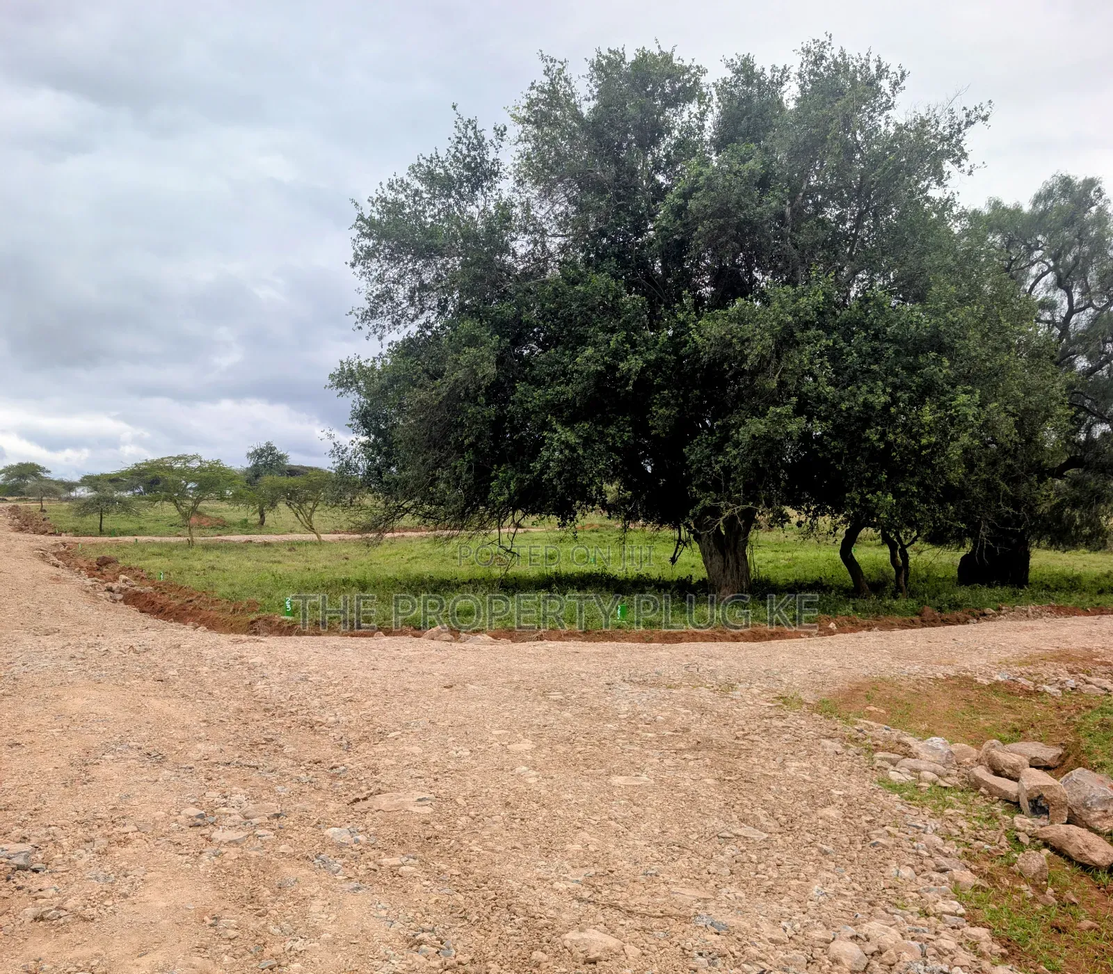 Kimuka 50 by 100 Plots for Sale in Ngong