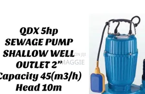 QDX 5hp Sewage Pump Available