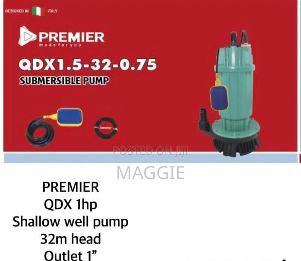 Premier 32m Head Outlet 1 Shallow Well Pump