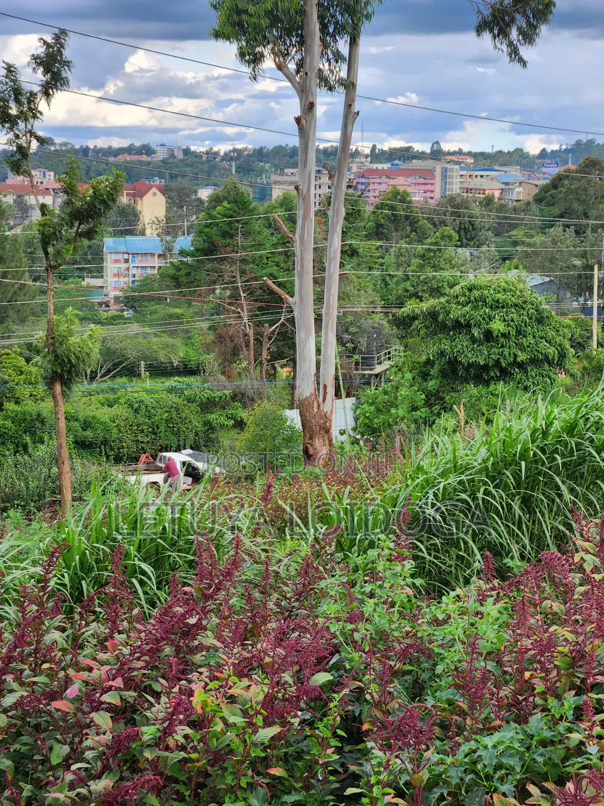 Prime 1⁄8acre Plot Ngong Ideal for Apartments