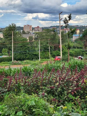 Prime 1⁄8acre Plot Ngong Ideal for Apartments