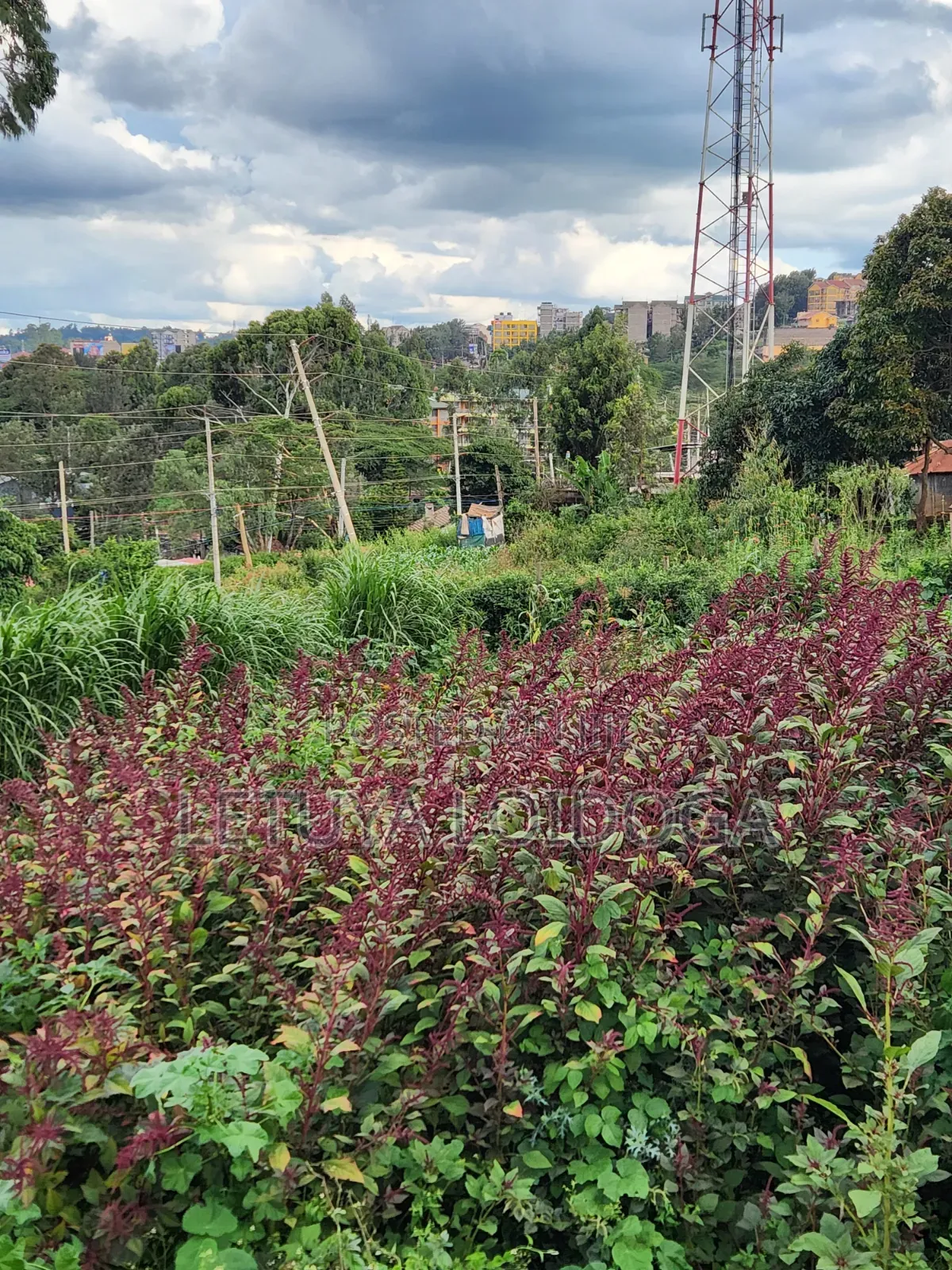 Prime 1⁄8acre Plot Ngong Ideal for Apartments