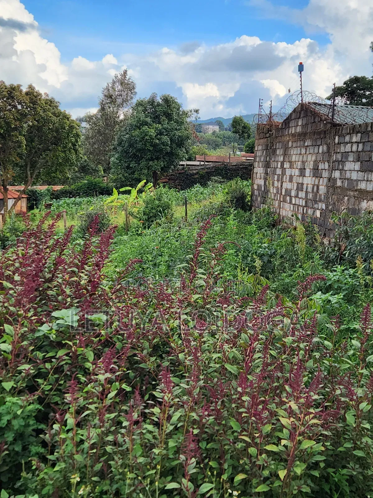 Prime 1⁄8acre Plot Ngong Ideal for Apartments