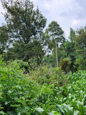 A Prime 1⁄2 Acre Ngong Lemiso Road