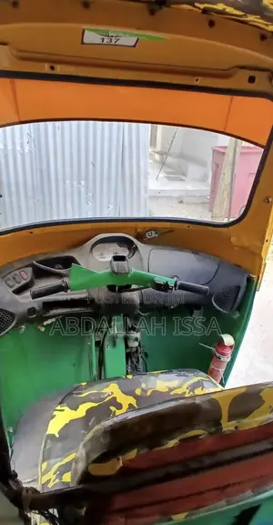 Piaggio 2018 Green