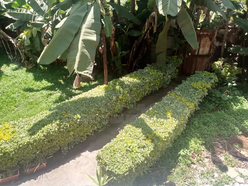 Mini Flat in Muongoiya, Muchatha for sale