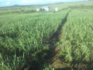 2 Acre Farm