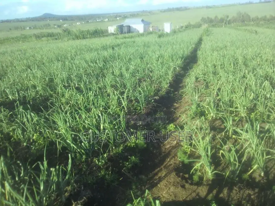 2 Acre Farm