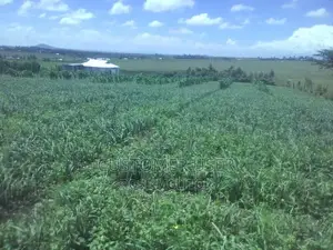 2 Acre Farm