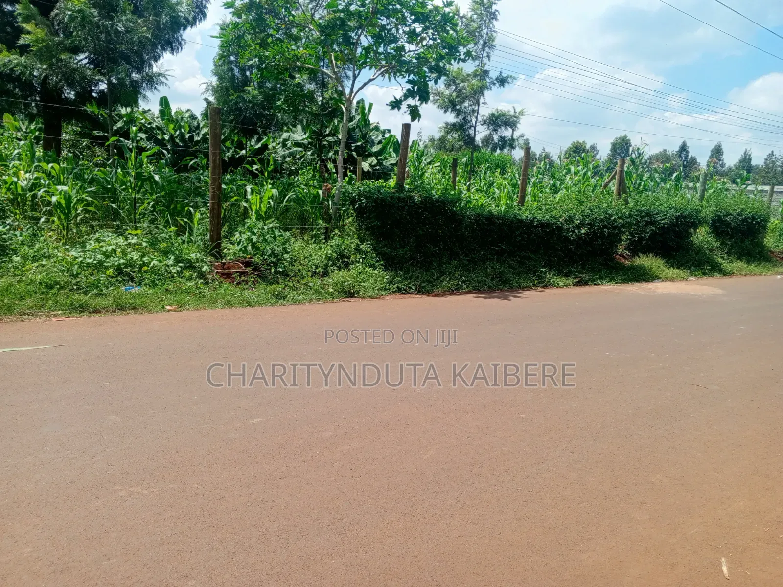 Prime,Muchatha Muongoiya Plot 42 By120 5.9