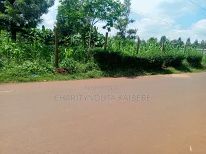 Prime,Muchatha Muongoiya Plot 42 By120 5.9