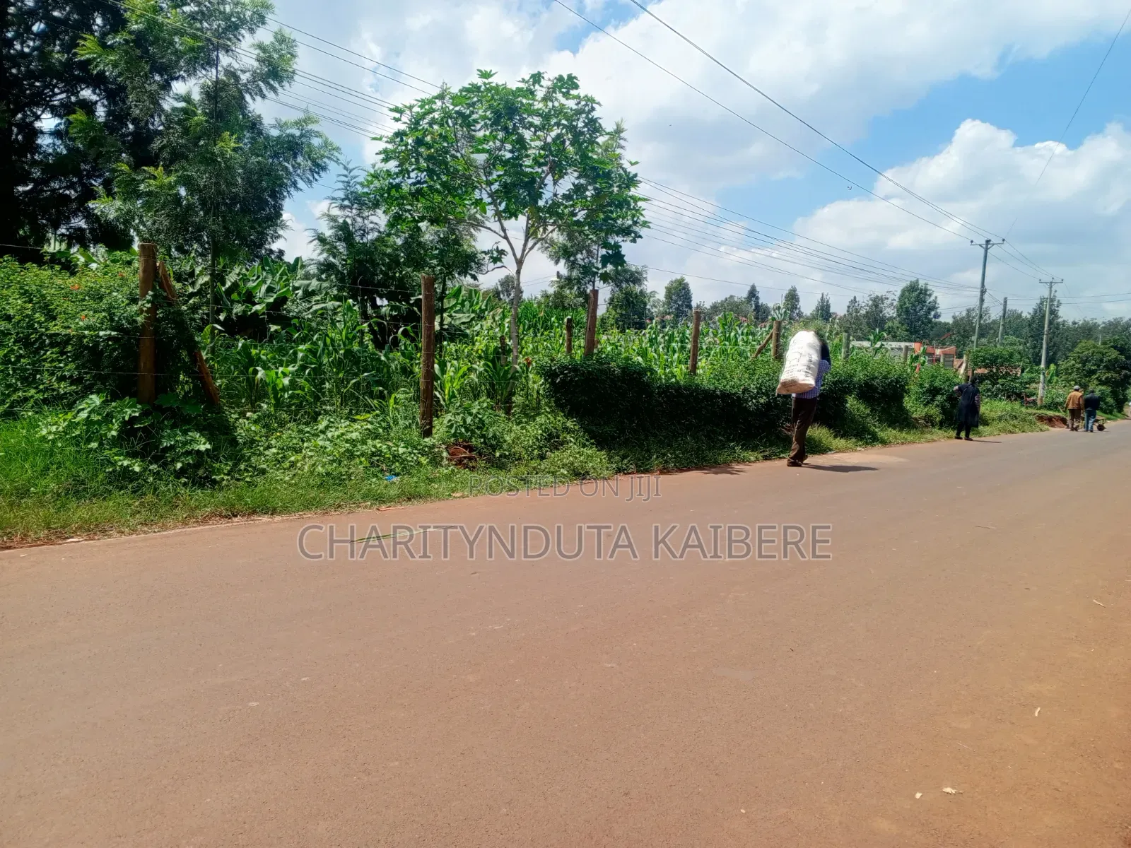 Prime,Muchatha Muongoiya Plot 42 By120 5.9