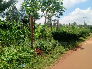 Prime,Muchatha Muongoiya Plot 42 By120 5.9