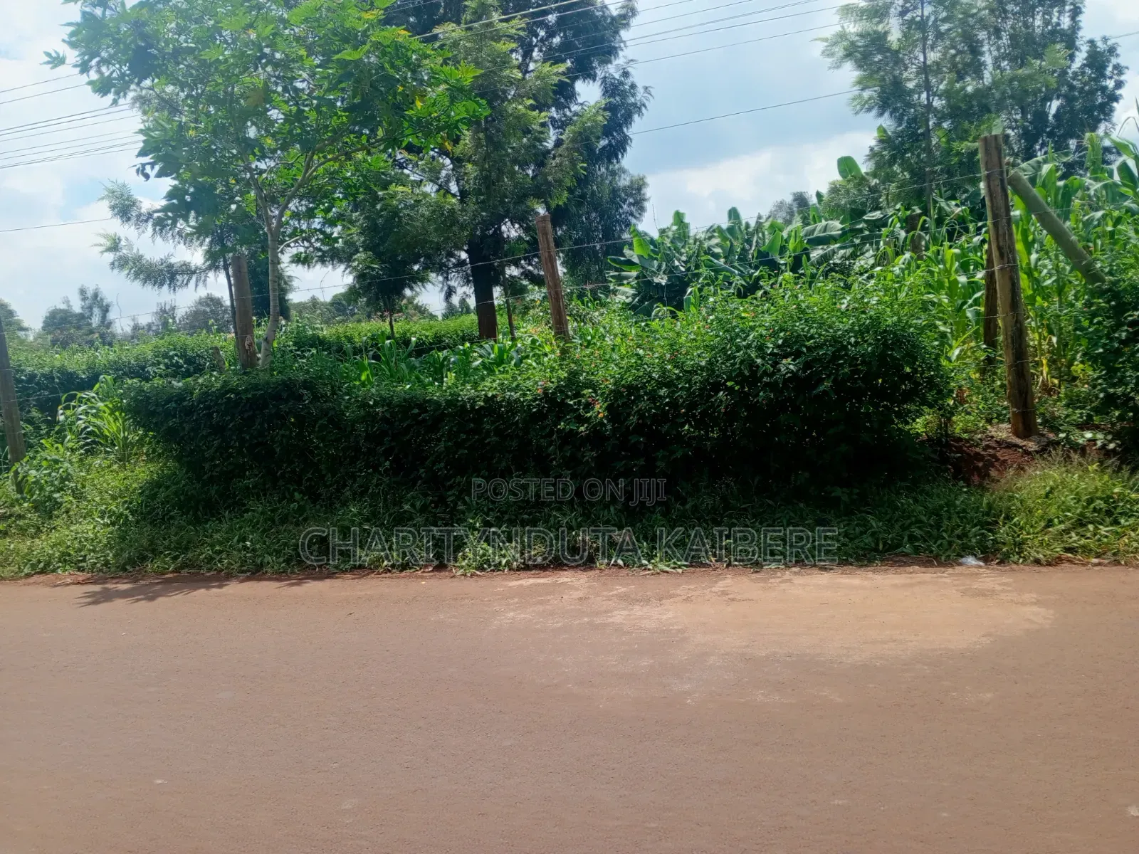 Prime,Muchatha Muongoiya Plot 42 By120 5.9