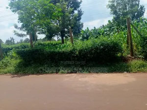 Prime,Muchatha Muongoiya Plot 42 By120 5.9