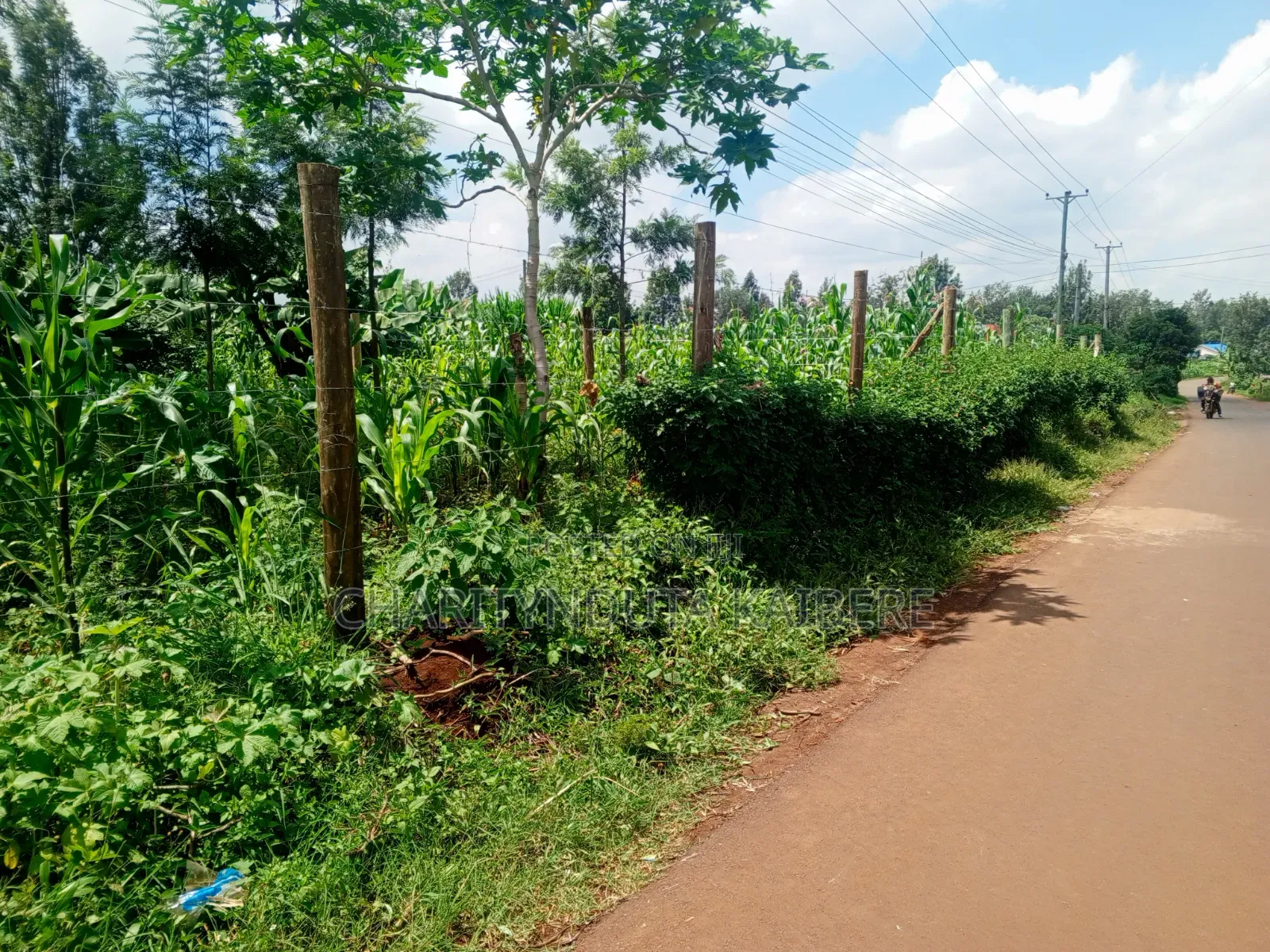 Prime,Muchatha Muongoiya Plot 42 By120 5.9
