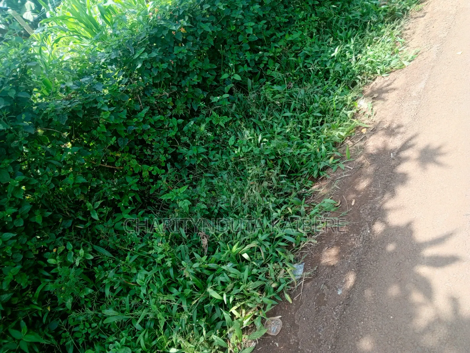 Prime,Muchatha Muongoiya Plot 42 By120 5.9