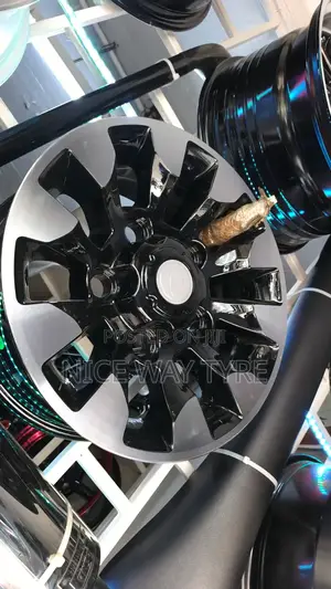 Size 16 Rim Landlover