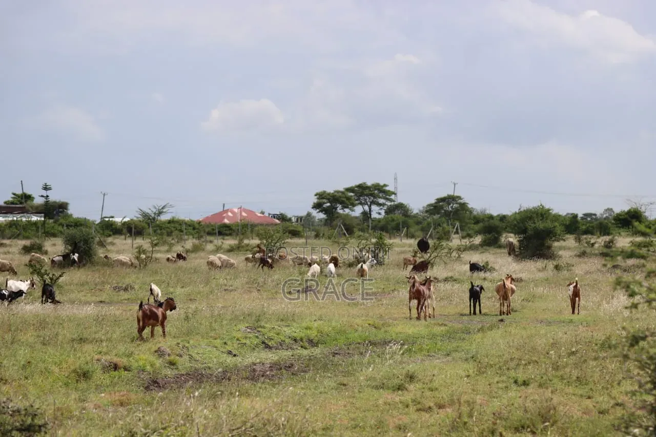Juja_farm Prime Plots _Kwa Murage