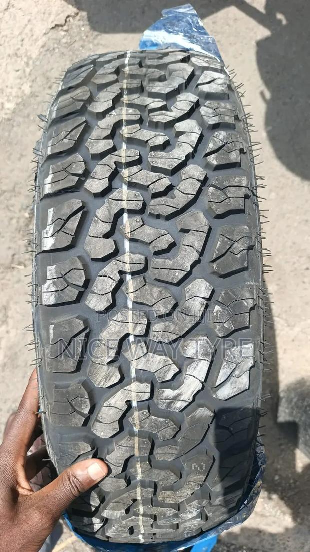 205/60r16 Everland a/T - main view