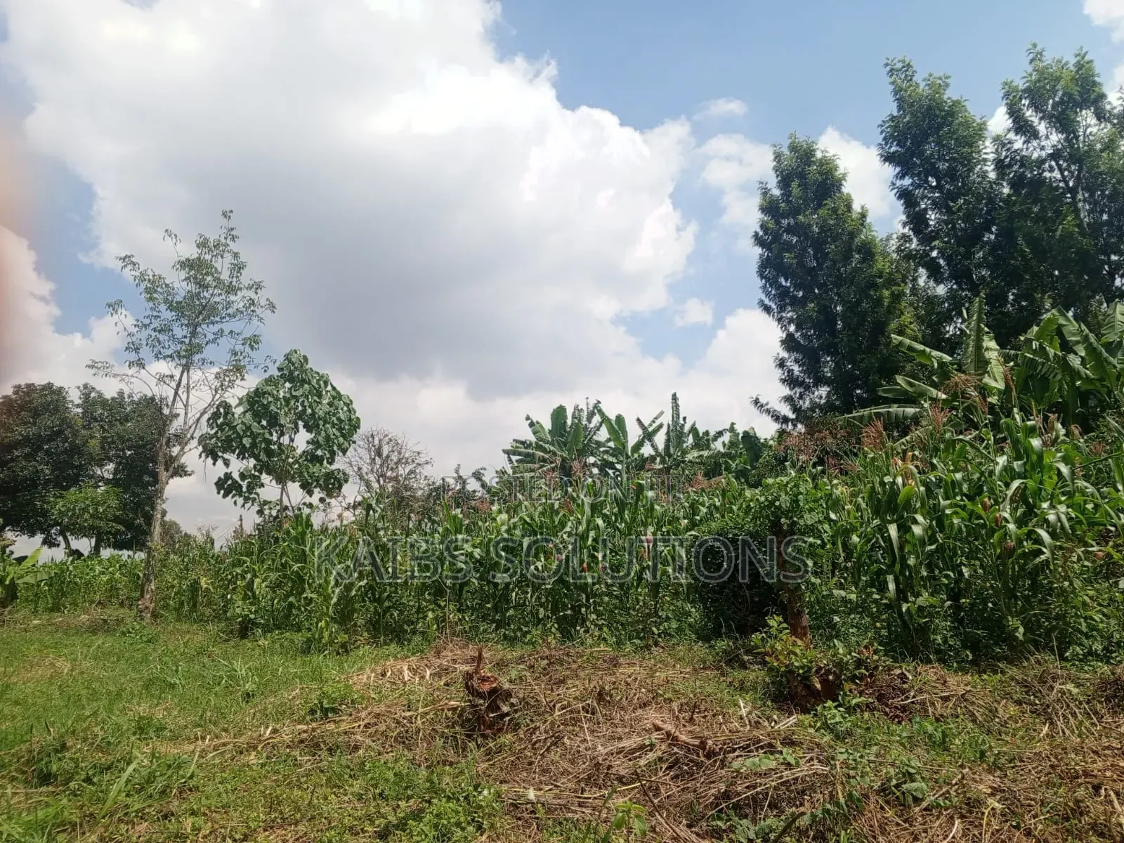 38 by 120,4m,3.6,3.2m,At Mwongoiya