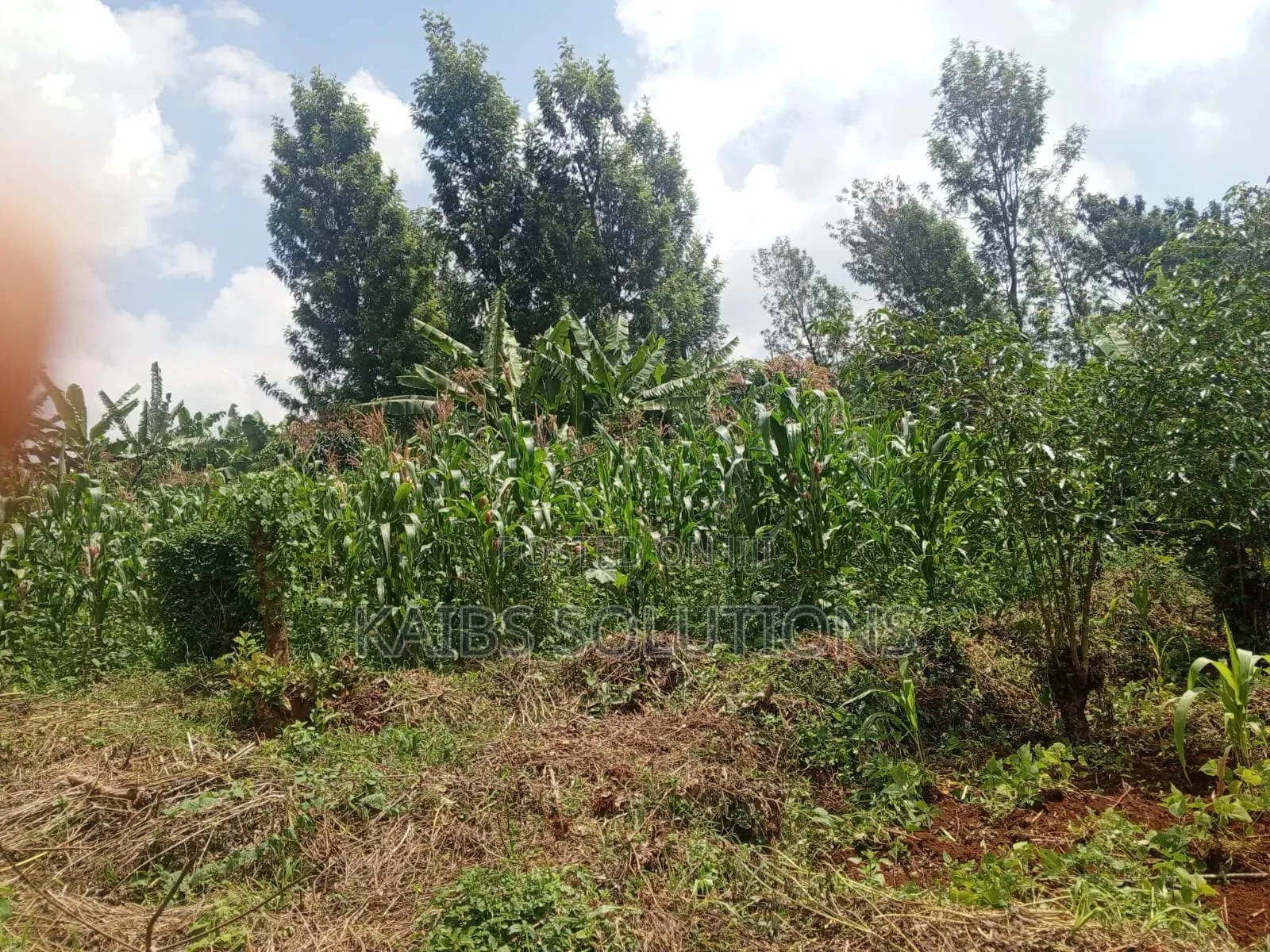 38 by 120,4m,3.6,3.2m,At Mwongoiya