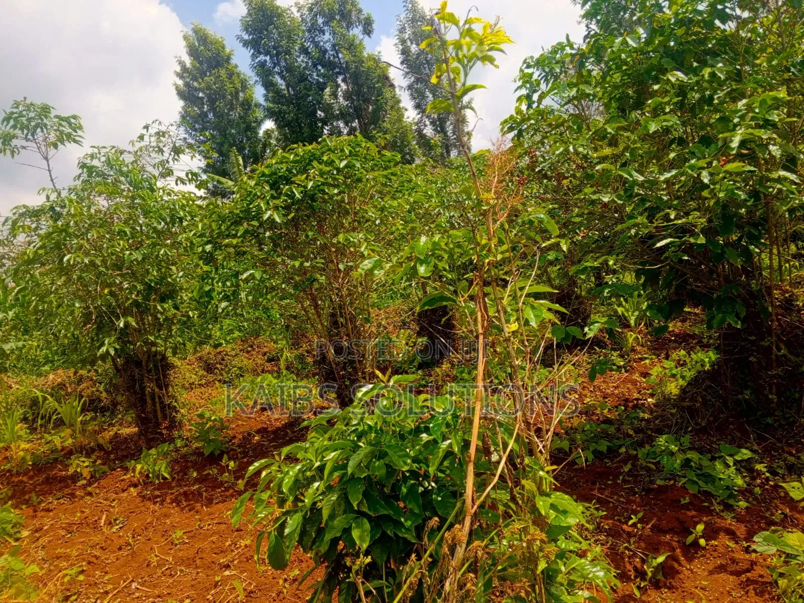 38 by 120,4m,3.6,3.2m,At Mwongoiya