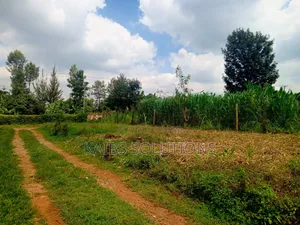 Muthacha Mwongoiya Prime Plot,5.8