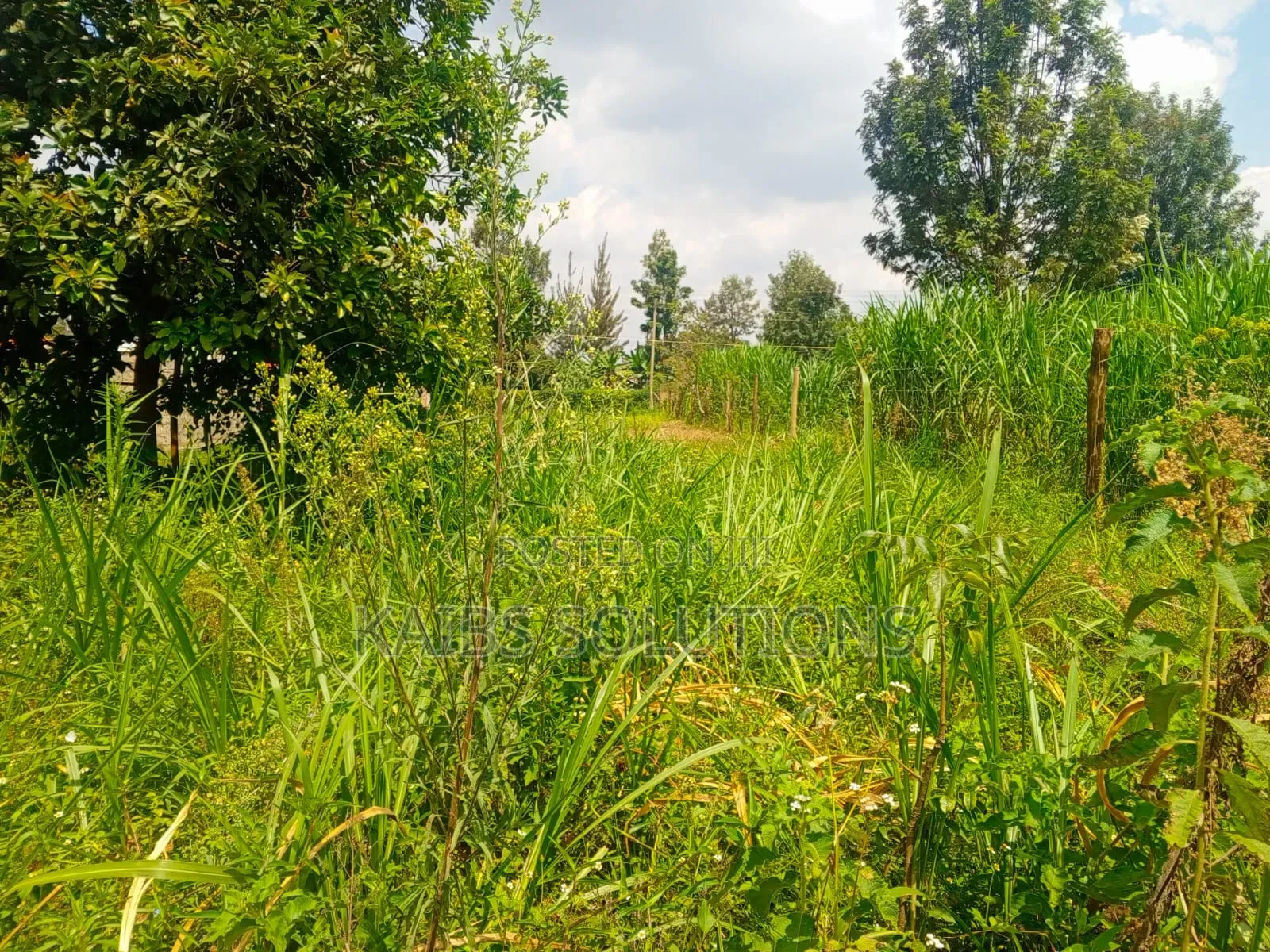 Muthacha Mwongoiya Prime Plot,5.8