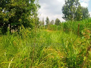 Muthacha Mwongoiya Prime Plot,5.8