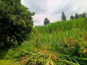 Muthacha Mwongoiya Prime Plot,5.8