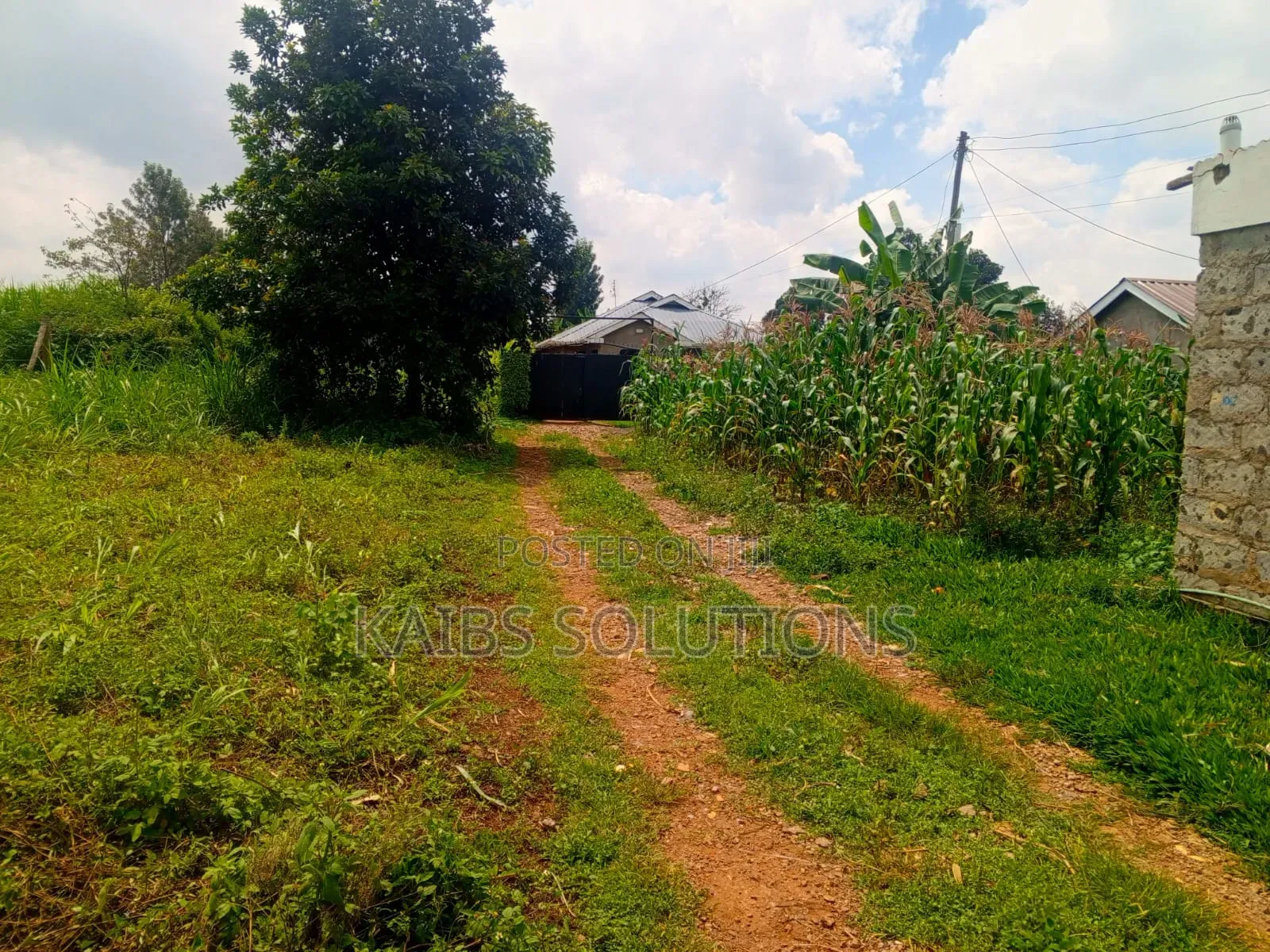 Muthacha Mwongoiya Prime Plot,5.8