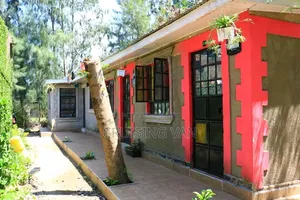 Studio Apartment in Aggy Nyong'Eche, Korando for rent