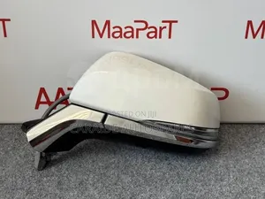 Alphard 2918/2019 Side Mirror
