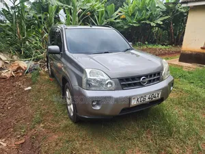 Nissan X-Trail 2.0 Petrol XE 2009 Gray
