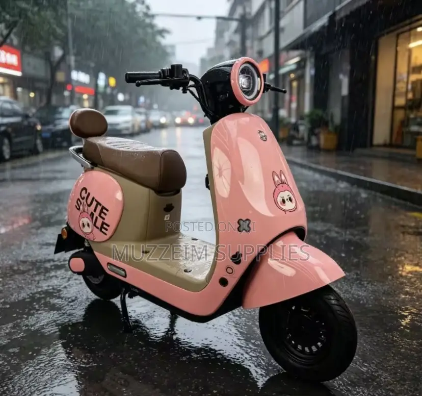 Electric Scooter