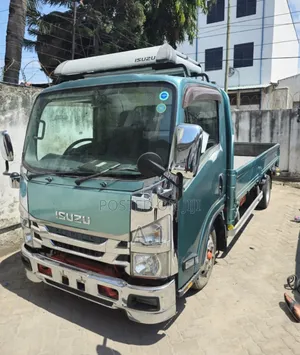 Isuzu Elf Long Chase 2019 Blue
