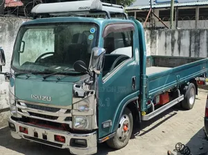 Isuzu Elf Long Chase 2019 Blue