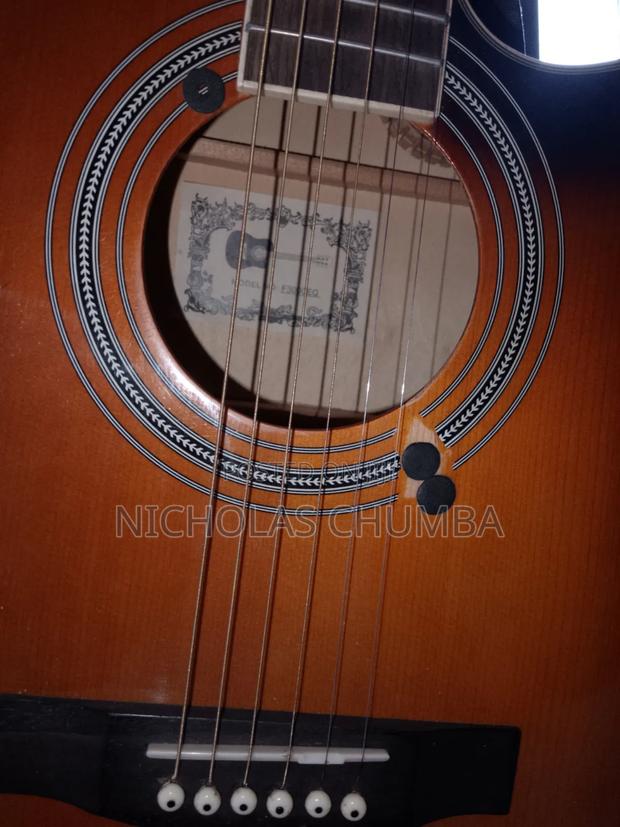 Semi Acoustic Guitar
