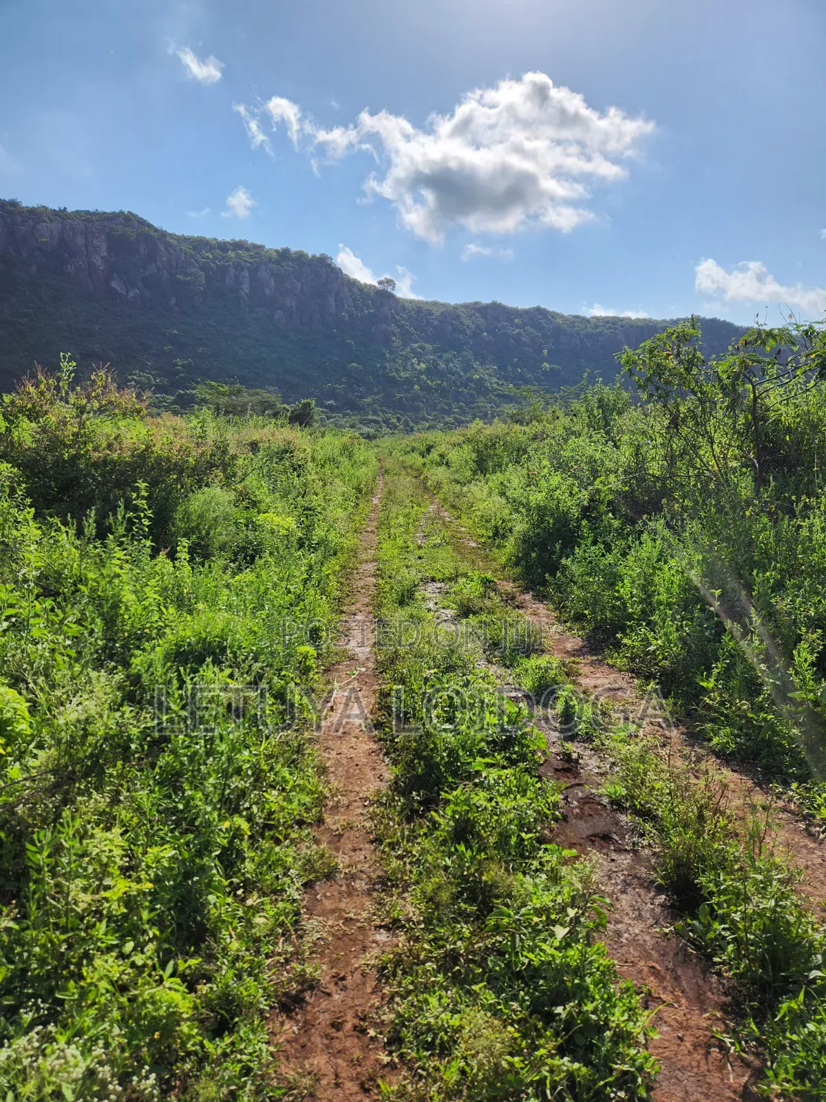 Affordable 1⁄8acre Plots Ngong-Kimuka