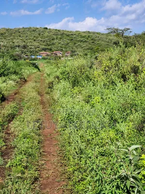 Affordable 1⁄8acre Plots Ngong-Kimuka