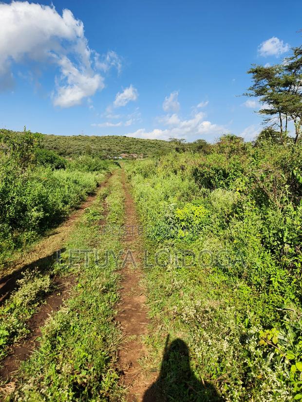 Affordable 1⁄8acre Plots Ngong-Kimuka - thumbnail 4