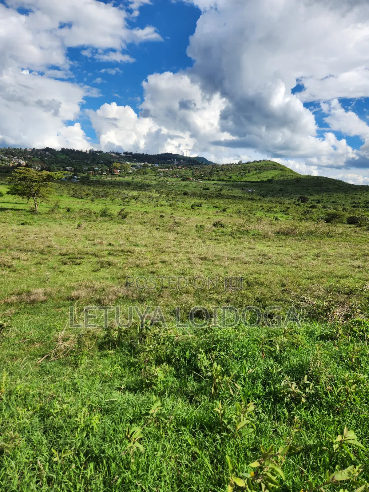 Ngong 65 Acres on Sale